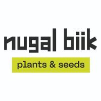 nugal biik plants and seeds 