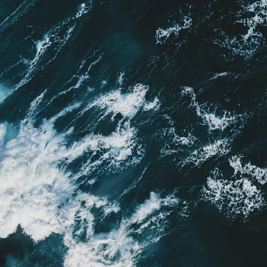 3f008f03-9b3f-447c-b93b-a416bc6d598b.jpeg
