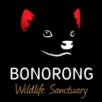 Bonorong Wildlife Sanctuary 