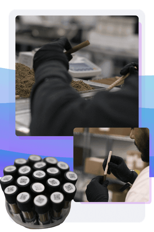 65c06ca3a7ae9d6f636c3733_Manufacturing%20onsite-p-500.png