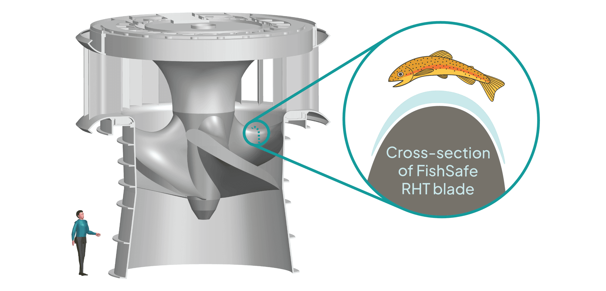 6668a856972737dbef653117_fish_safe_curved_geometry_2024-new-p-2000.png