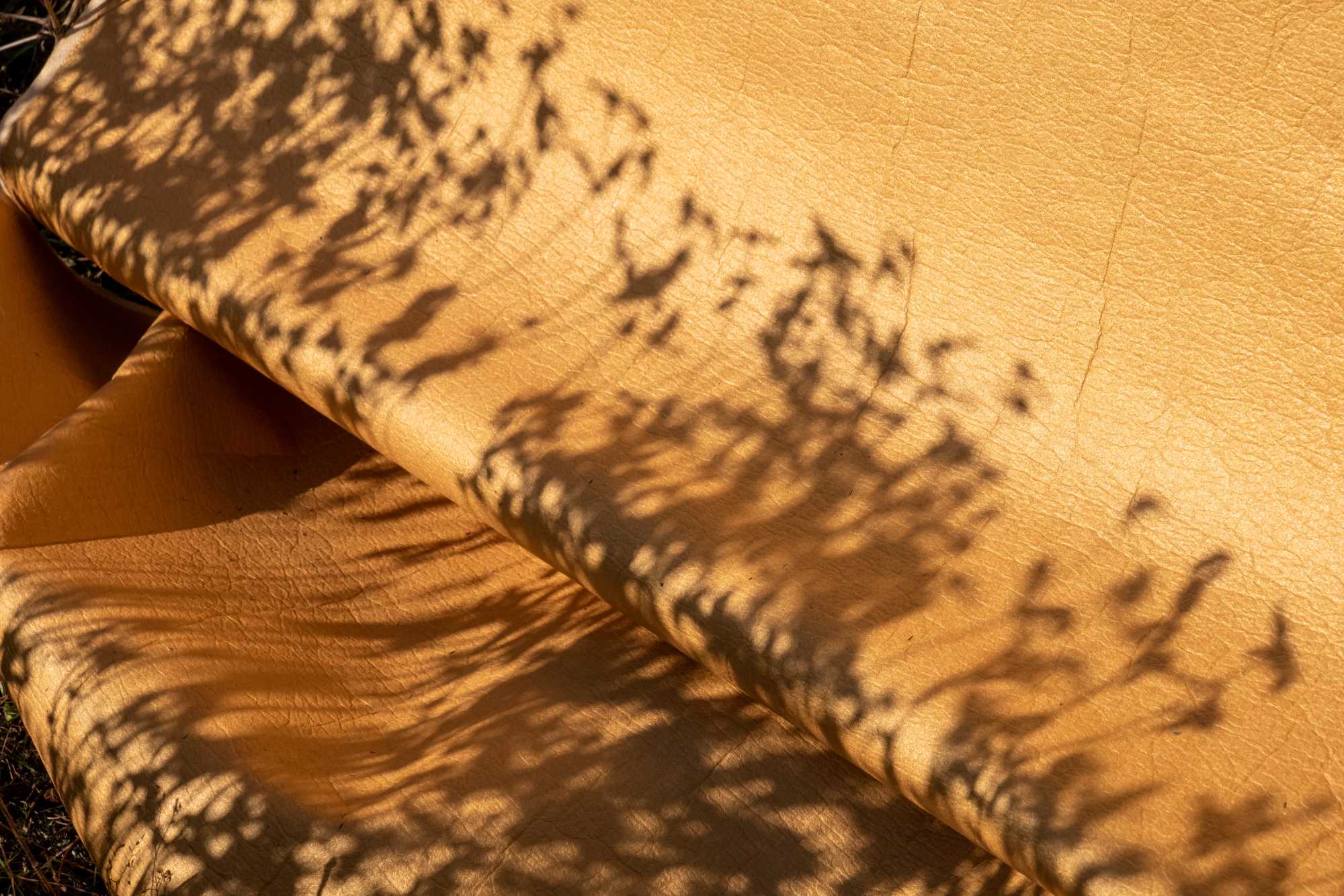 AnanasAnam_230322_1250974-2000x1333.jpg