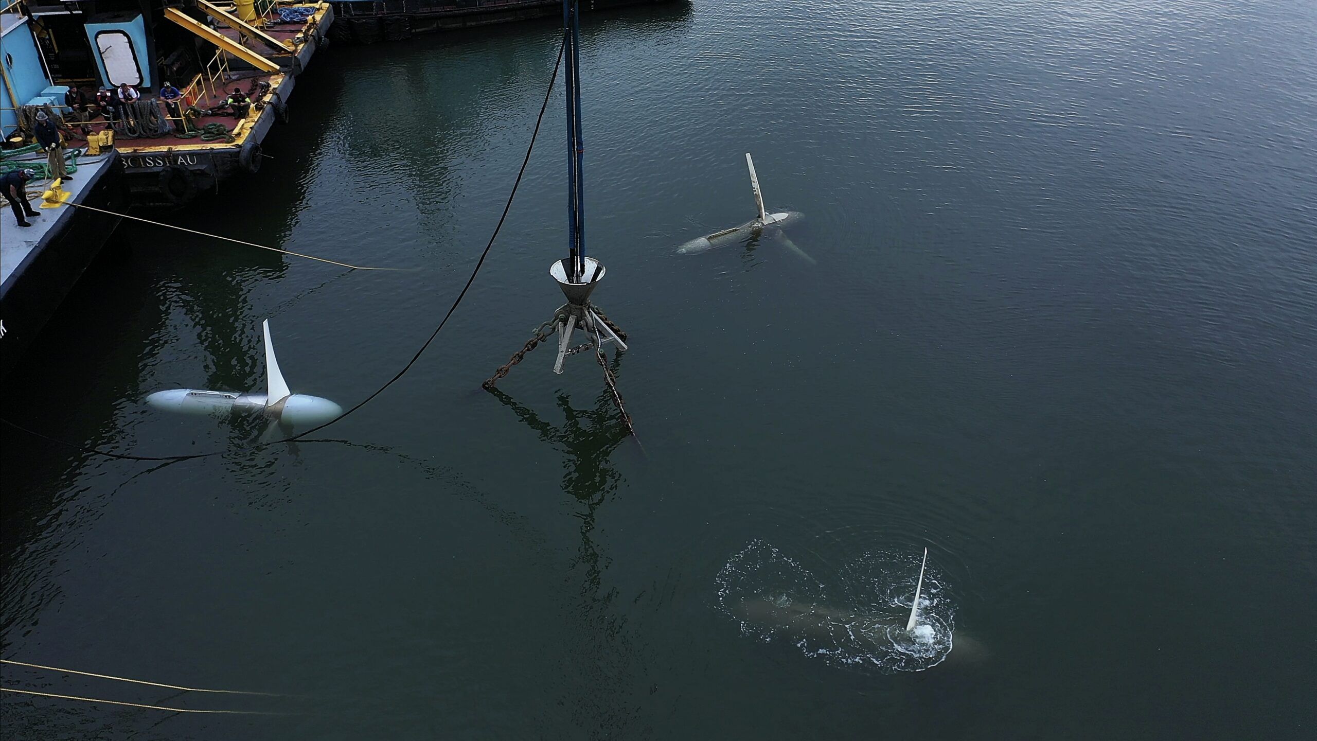 DJI_26-scaled.jpg