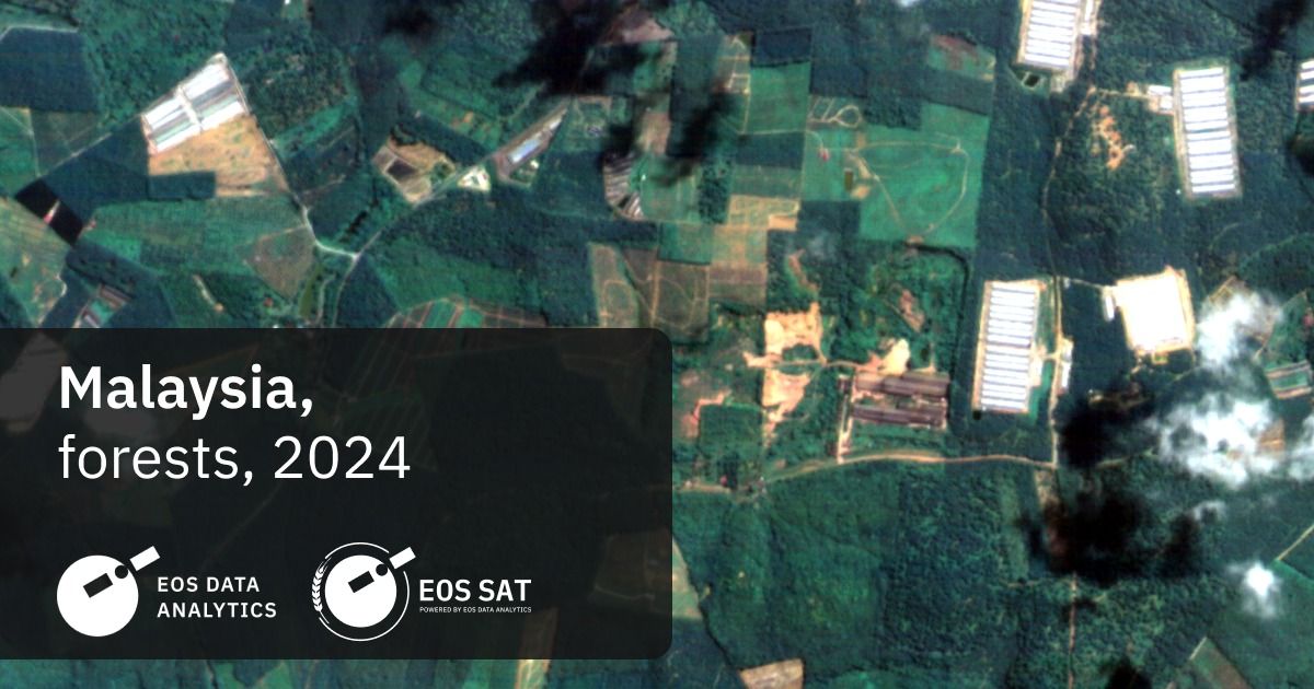 EOS9.jpg