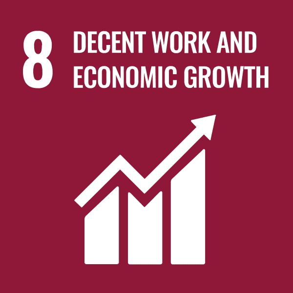 8. Decent Work and Economic Growth	