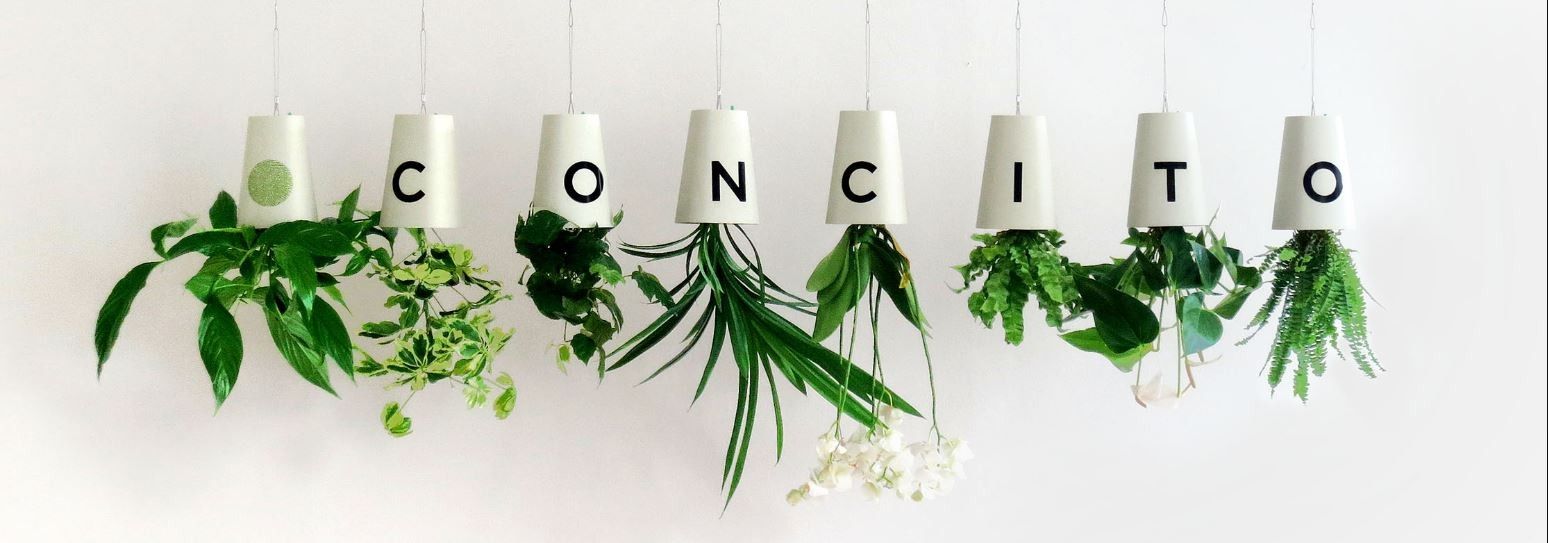 prod-img