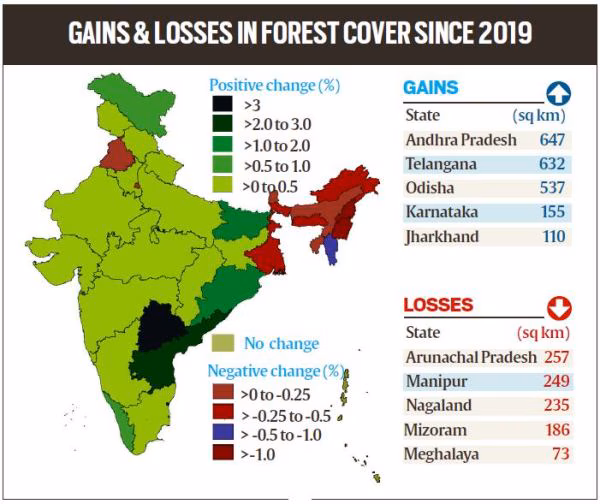 forest-cover-1.avif