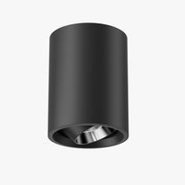 lumi4.jpg