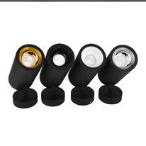lumi5.jpg