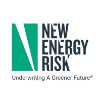 New Energy Risk