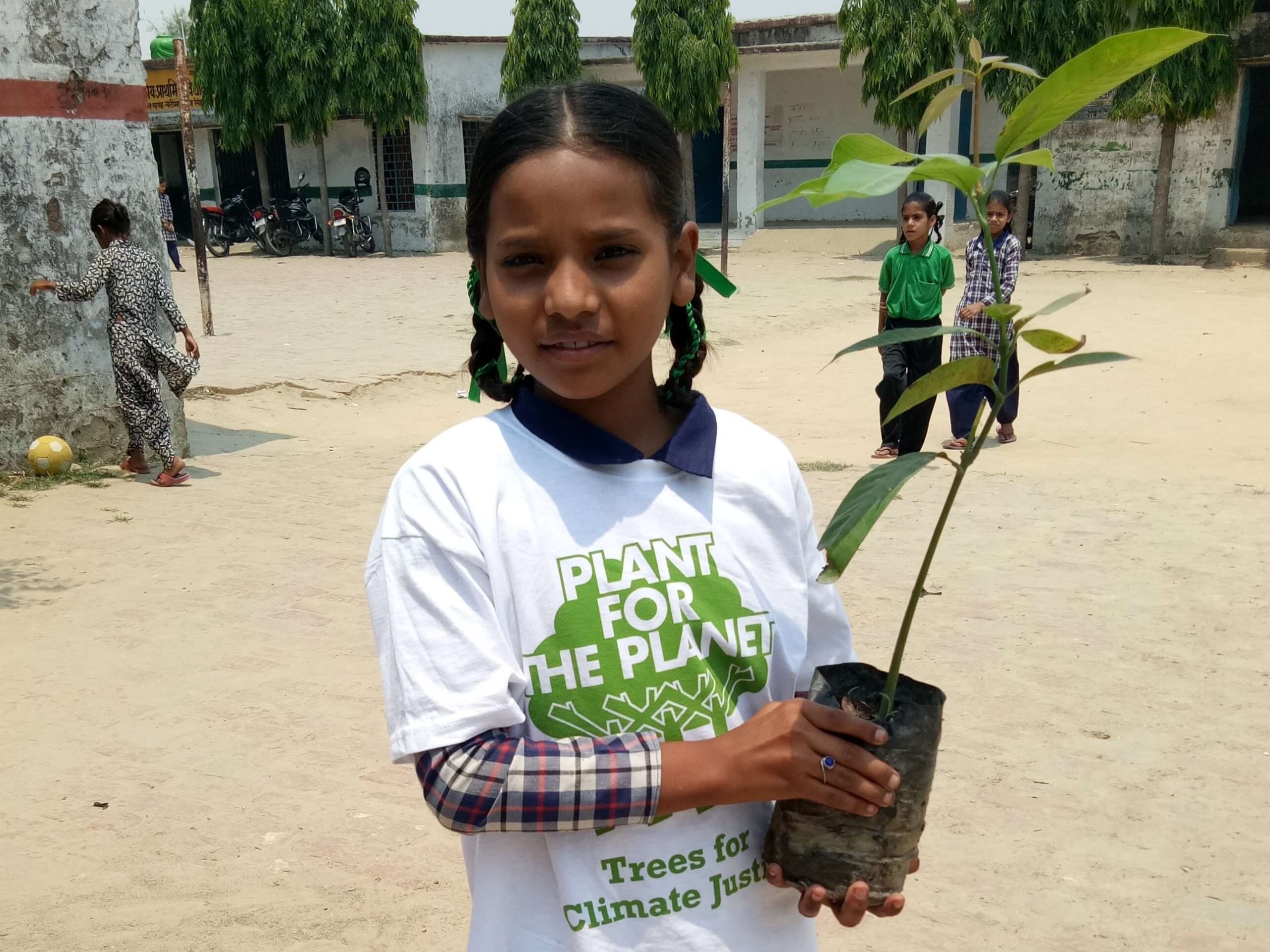 plant10.jpg