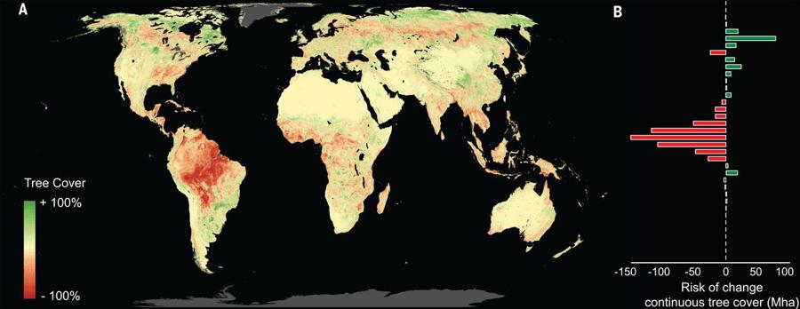 reforestationmap_hu1277959bc9d8bf7b63da181e7deac72f_81555_900x0_resize_q75_catmullrom.jpg