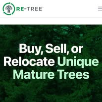 rt4.jpg