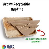 sineo11.jpg