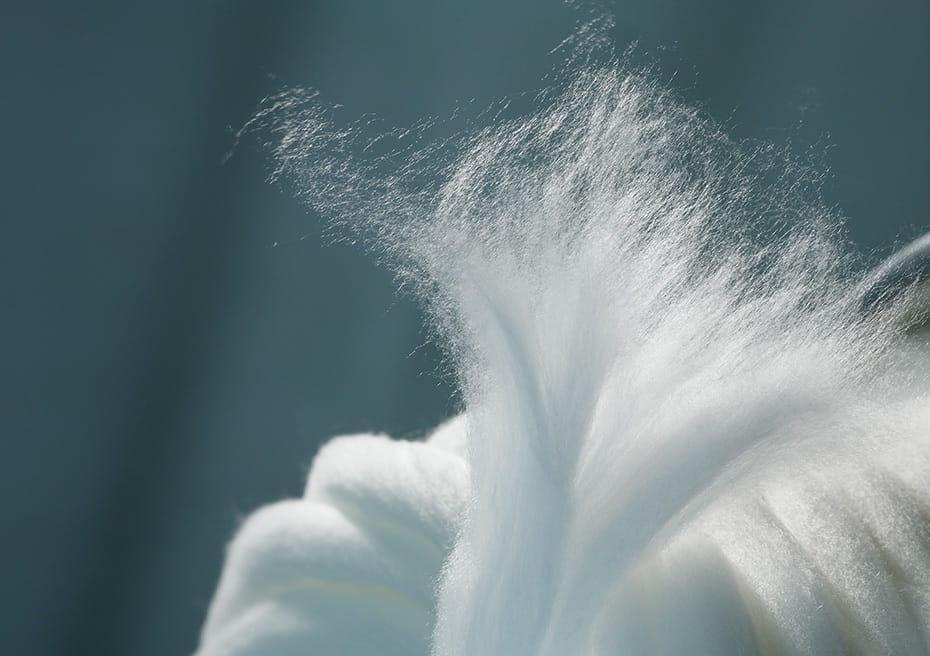 tencel-lyocell-fibers-supplier-manufacturer.jpg